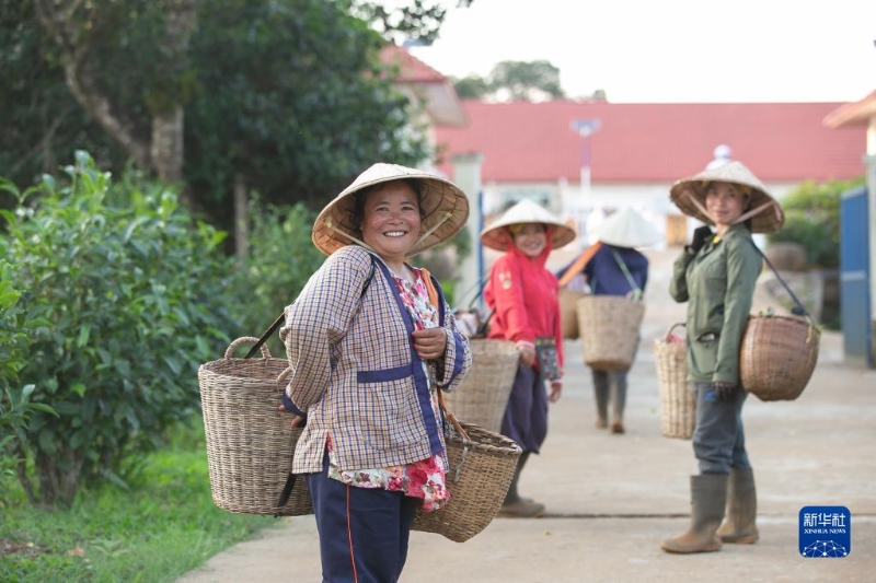 2022年3月25日，村民到老挝南部波罗芬高原上的36庄园茶厂售卖茶叶。（图源：新华社）