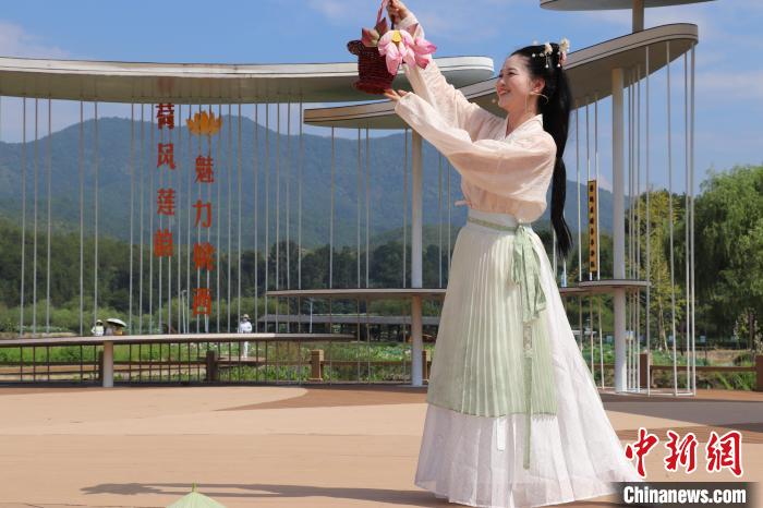 万亩莲池中，一名舞者正在表演《莲花瑶》。　熊锦阳 摄