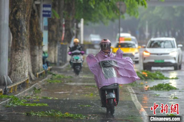 图为海口市民冒雨出行。　骆云飞 摄