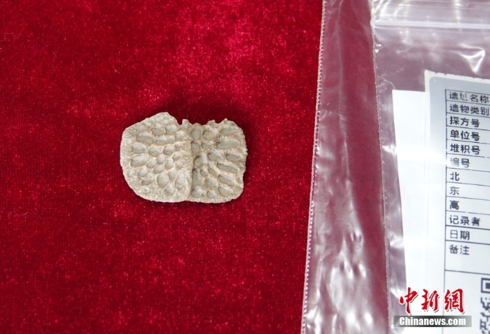 探访夏家店下层文化西大梁遗址考古发掘现场