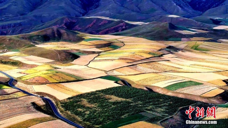 祁连山腹地秋景迷人 色彩斑斓如“大地油画”