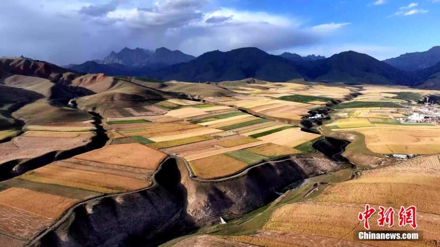 祁连山腹地秋景迷人 色彩斑斓如“大地油画”