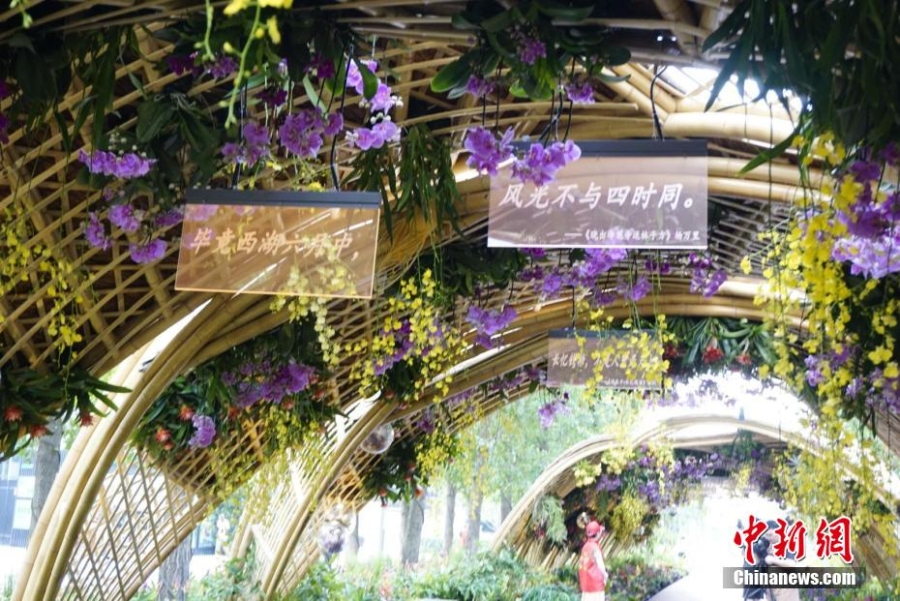 亚洲花卉主题园亮相 汇集亚洲各文化特色植物花境