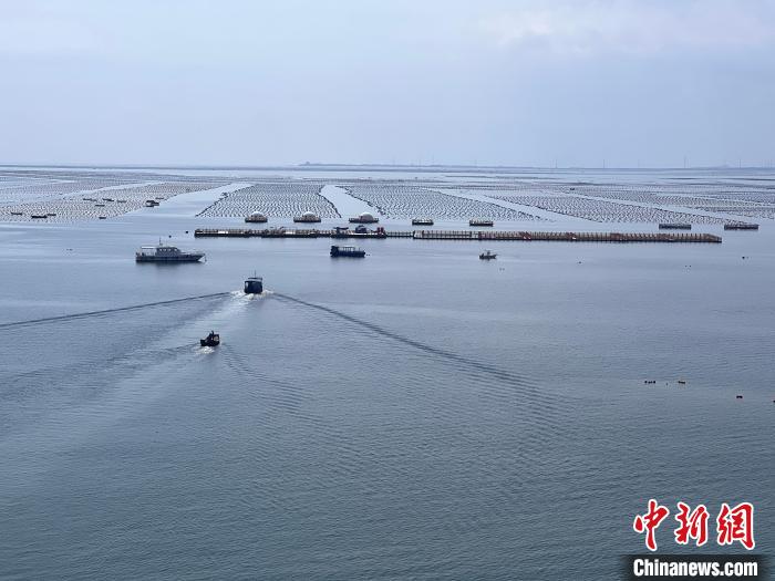 中国增强陆海统筹与协同共治陆地生态情景
