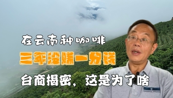 【滇西行】在云南种咖啡三年未赚一分钱？！台商揭密个中原因