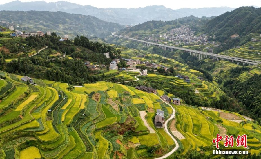 广西侗乡三江：高山梯田秋色如画