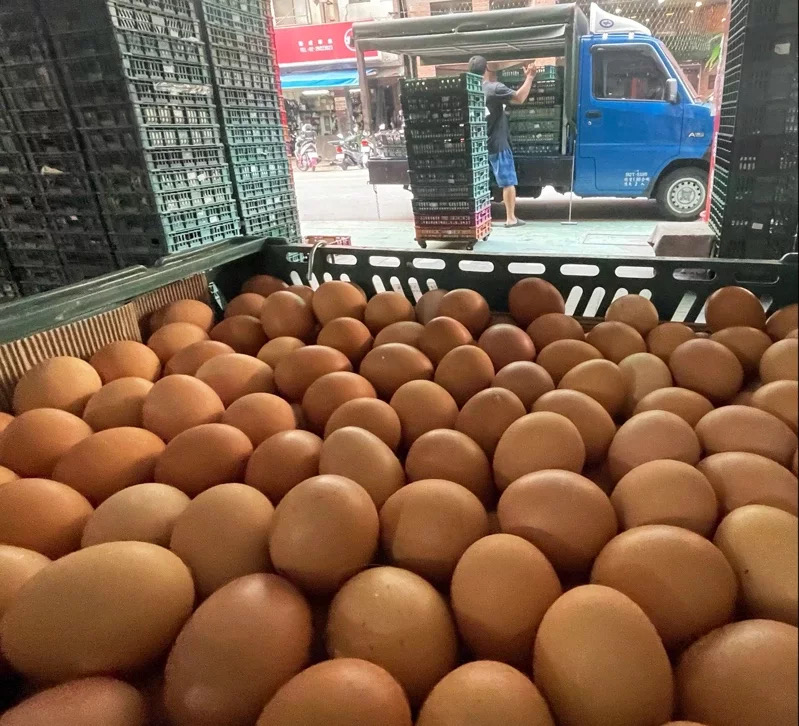 台湾进口蛋标示不实引发外界疑虑，民众担心有无“混”蛋。图为鸡蛋批发示意图，非新闻当事鸡蛋。（图源：台湾《联合报》）