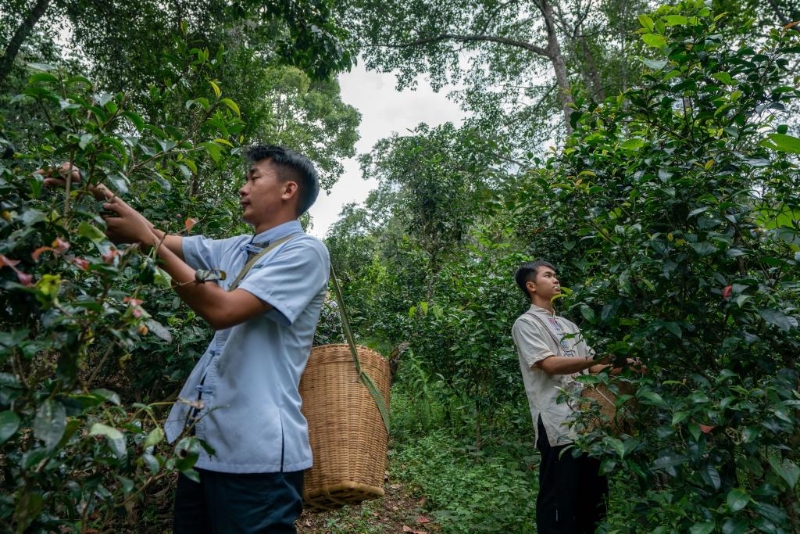 呵护全人类配合的至宝——天下遗产可不断睁开的中国实际