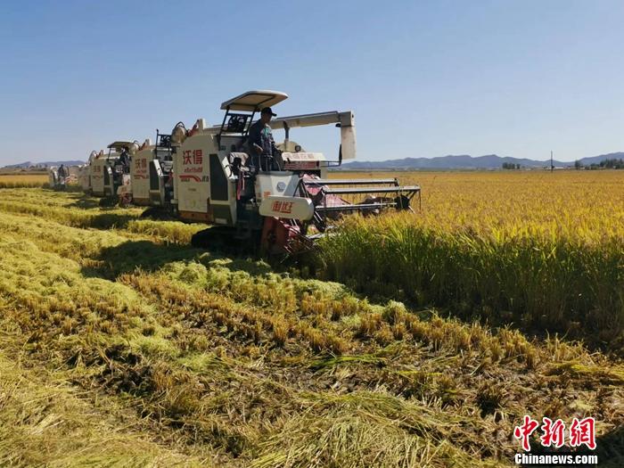 稻花香里说康年丨这个农业大省，歉收的明码藏在这里