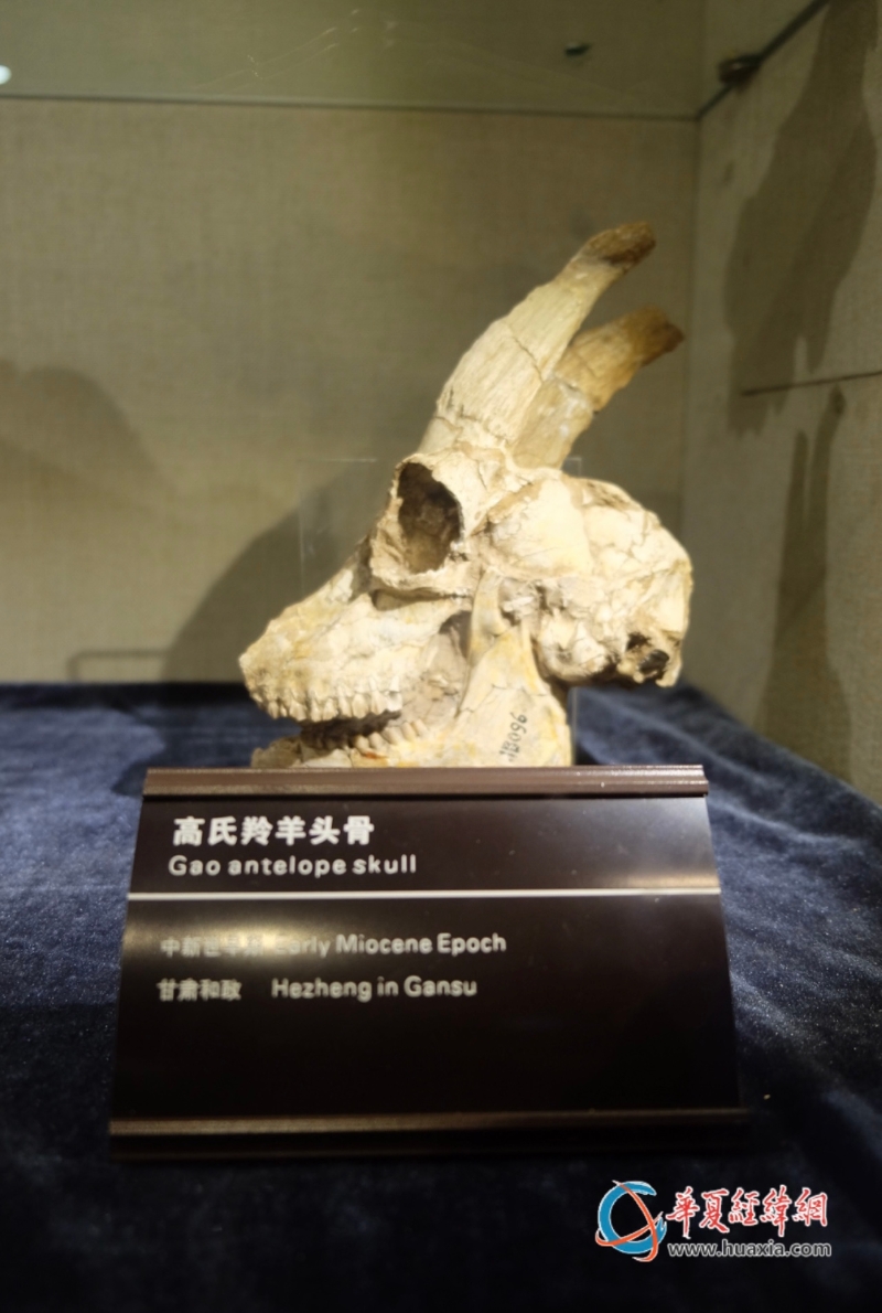 微信图片_20231020080106
