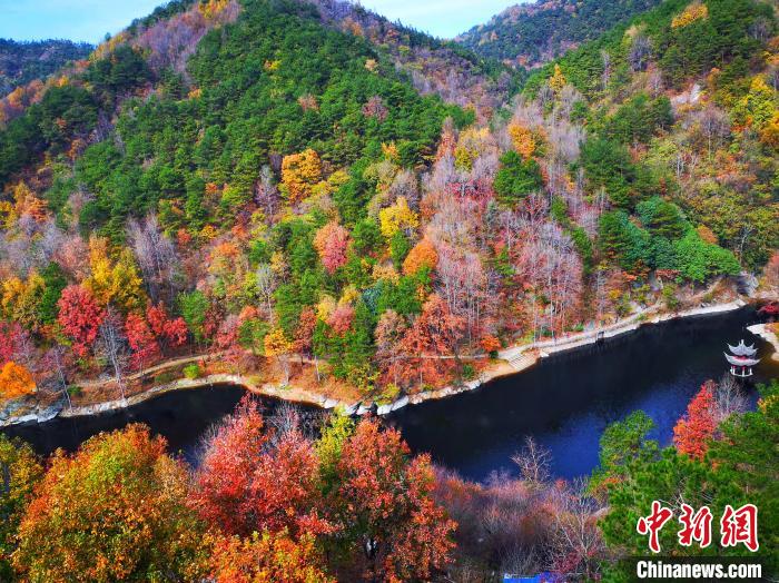 武汉黄陂木兰清凉寨：初冬叶斑斓风景美如画
