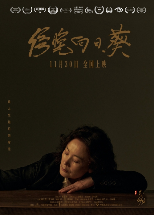 电影《傍晚向日葵》海报。