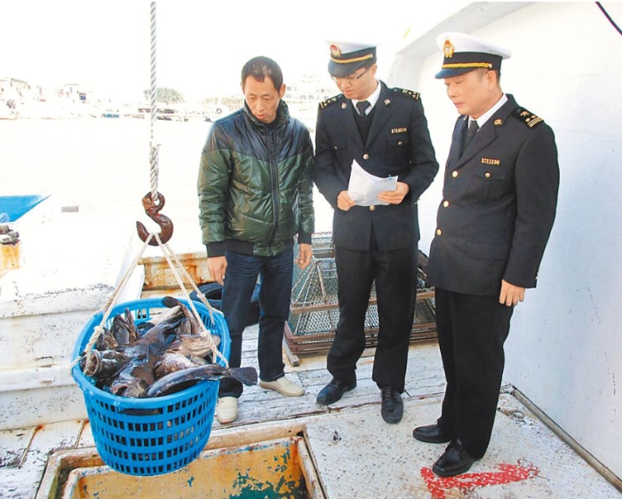 台湾屏东县琉球区渔会直言，大陆是台湾渔产品最重要的市场，若在清单中遭除名，“台湾渔业肯定完蛋”，图为福建东山港码头监管活青斑鱼卸运。（中新社）