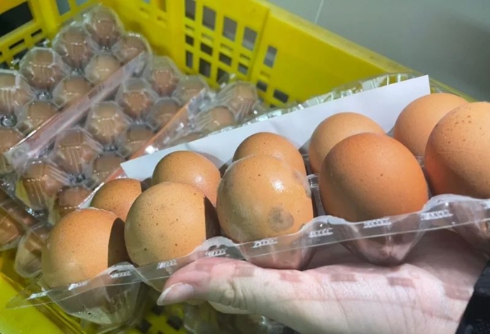 图为台湾桃园卫生局稽查人员稽查到进口鸡蛋发霉状况。来源：台湾联合新闻网 资料图