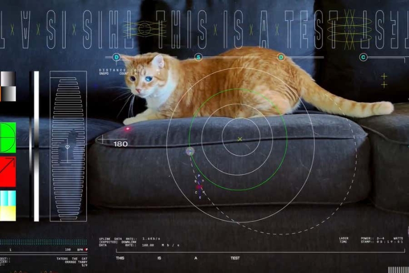 美国航天局18日宣布成功从距离地球3100万公里的探测器传回15秒的影片，影片主角是一只橘色虎斑猫在沙发上追逐红色雷射光点。（图源：美国航天局）