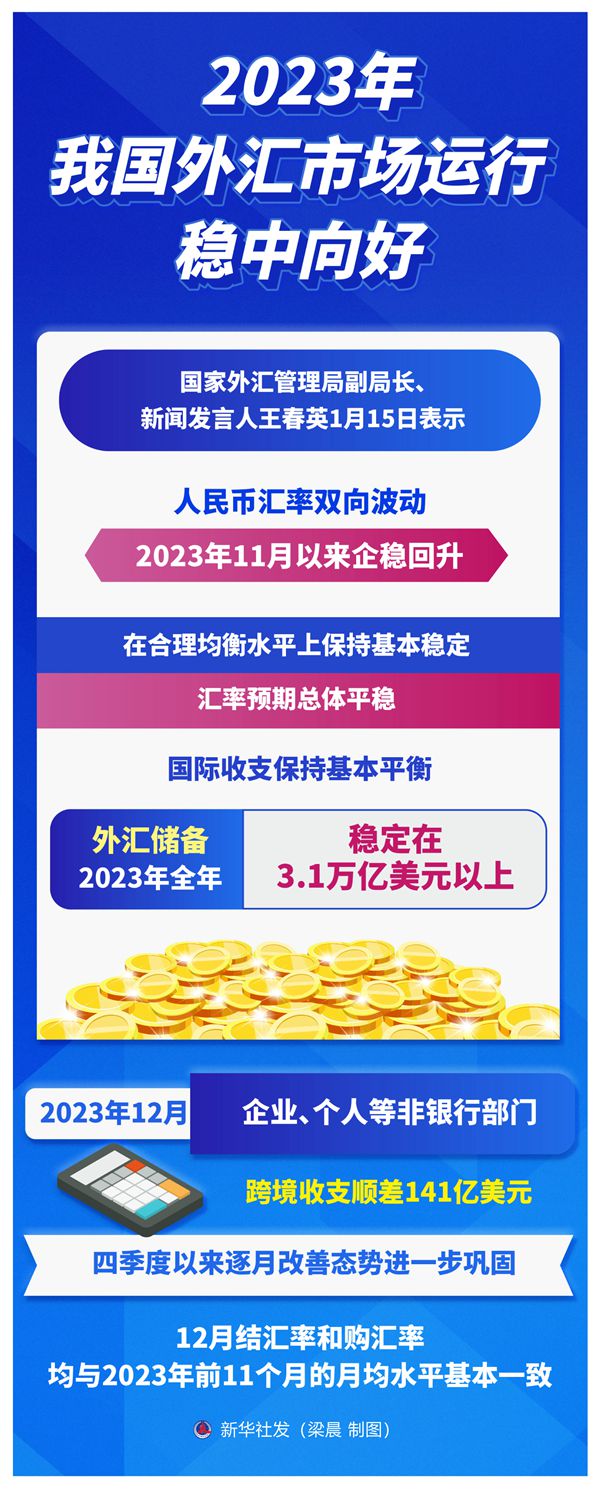 2023年我外洋汇市场运行稳中向好