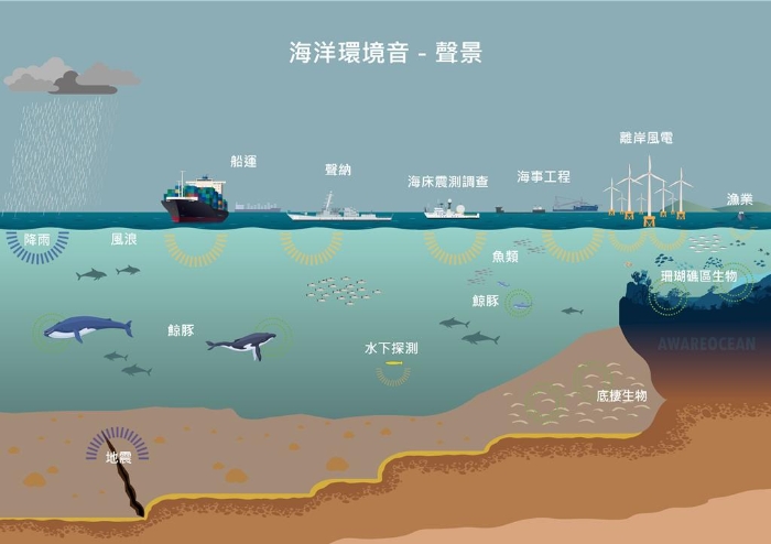 鲸豚遭离岸风场开发、船舶噪音的危害