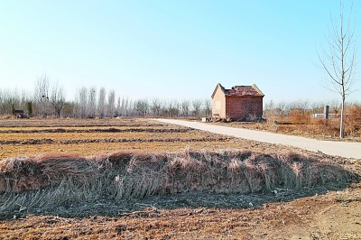 永济渠衡水段发现古代运河型城市遗址 唐宋武城具有重要贸易和军事意义