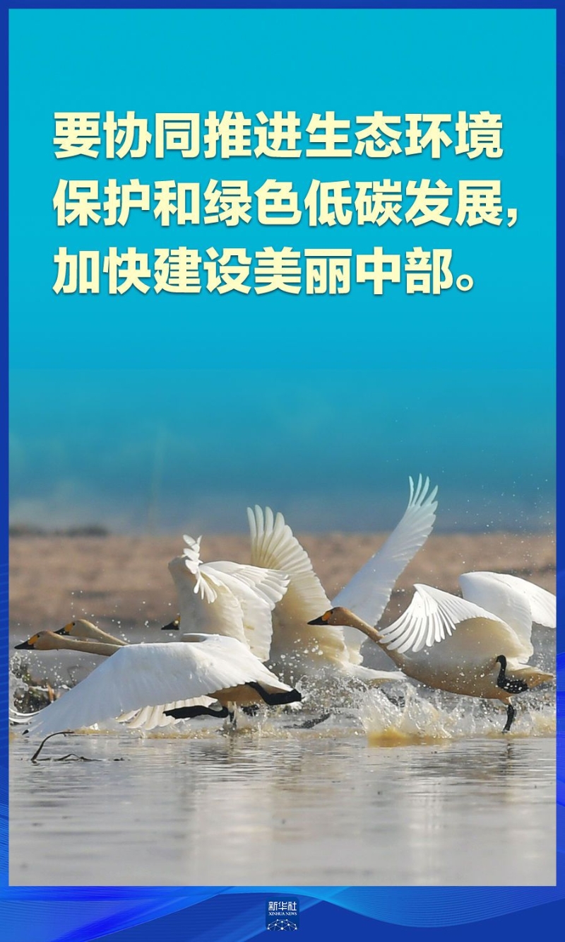 小滕時尚服裝（小藤匠家具旗艦店網購）