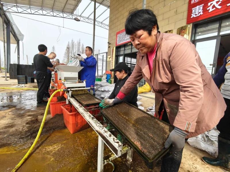 《FF7更逝世》新飽吹片公布！體驗版上線 約48GB