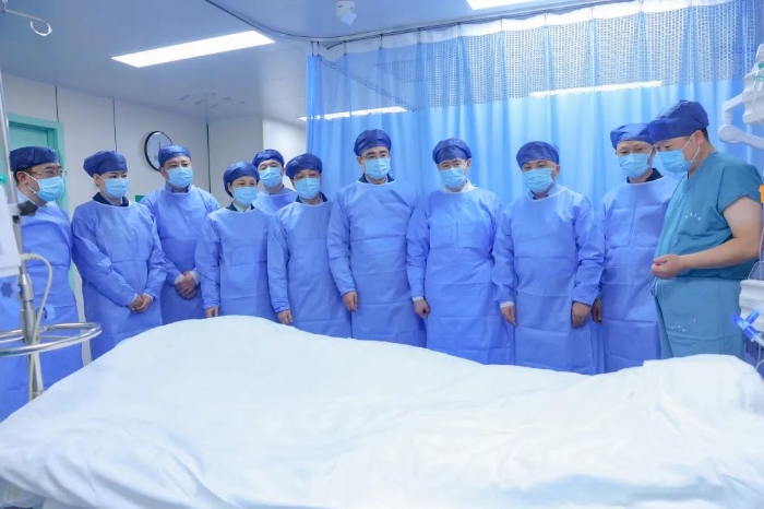接续创新西京医院实施基因编辑猪脑死亡受者异种肾移植