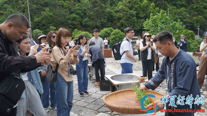 黄金茶技艺传承人向华文展示炒茶技艺。（摄影：虞鹰）