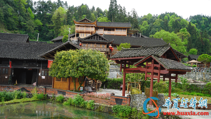 国茶村村景。（摄影：虞鹰）