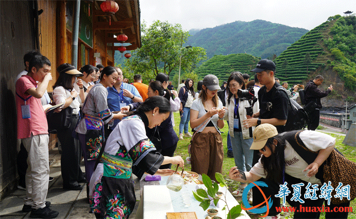 马燕马少梅姐妹向两岸媒体人介绍黄金茶。（摄影：虞鹰）