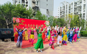 北辰区举办“你好天津-鎏津岁月行”交流活动暨涉台宣传教育“进社区”活动246