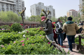 北辰区举办“你好天津-鎏津岁月行”交流活动暨涉台宣传教育“进社区”活动249