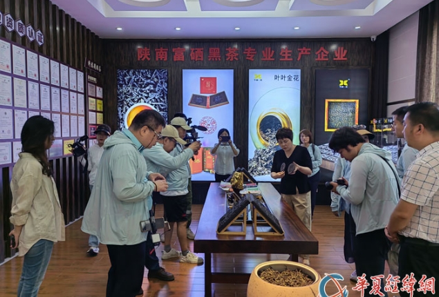 两岸媒体人走进“中国绞股蓝第一县”安康市平利县 探访特色茶产业