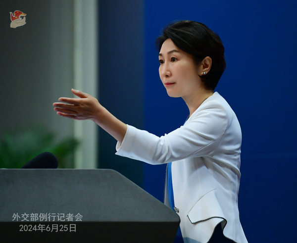 联合国安理会第1540号决议通过20周年 外交部：中方将推进其执行进程
