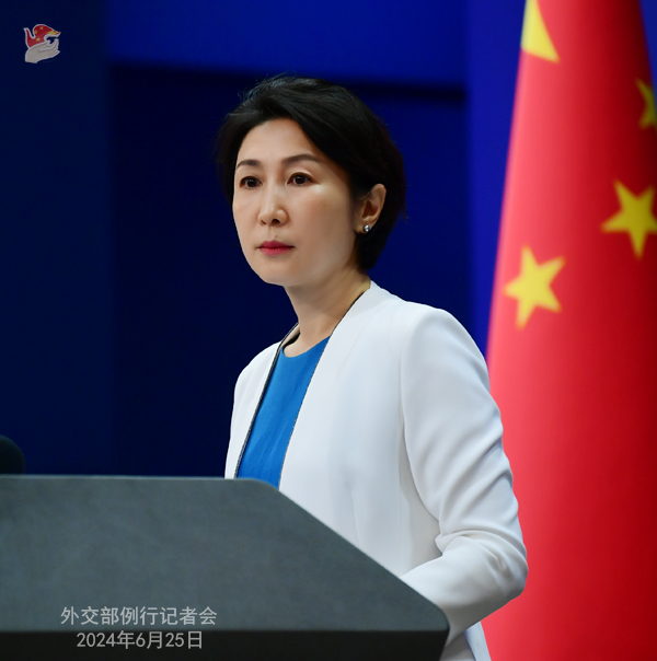 外交部发言人介绍第二届非洲之角和平会议高官会情况