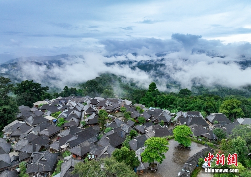 （聚焦中国高质量发展）普洱景迈山古茶林文化景观