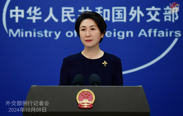 外交部發言人毛寧。部中（圖源：外交部網站）