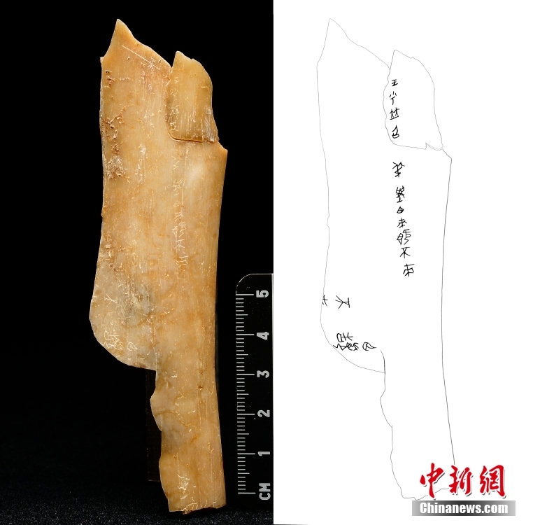 陕西省考古研究院公布宝鸡周原遗址最新考古成果