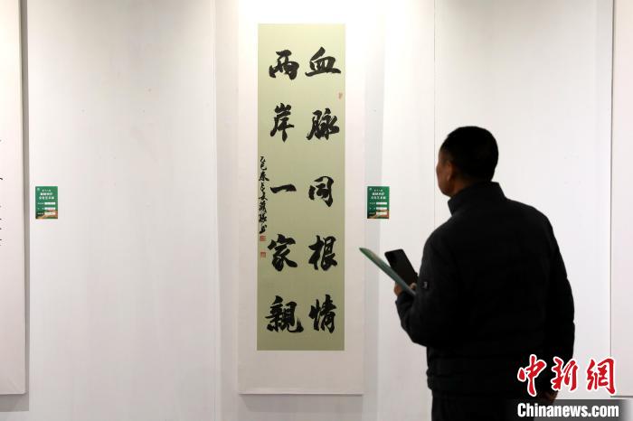 4月2日，第十八届海峡两岸文化艺术展在陕西西安启幕。图为市民参观书法作品。　中新社记者 张远 摄