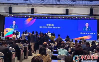 海峡两岸关系协会常务副会长龙明彪发言