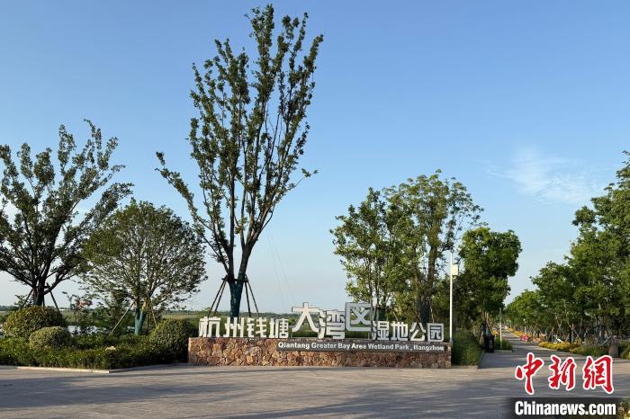 探访浙江杭州大湾区湿地公园记录鸟类140多种