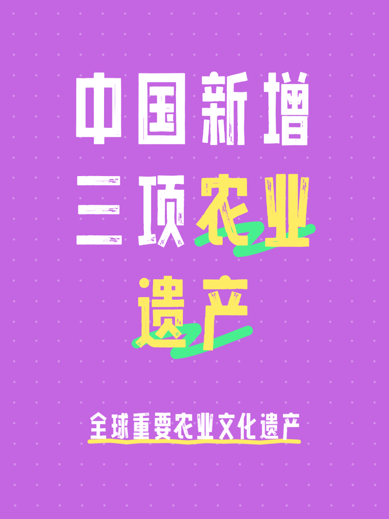 微信图片_20250521073634