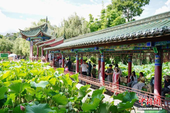 游客打卡“春城”昆明感受夏日清凉魅力