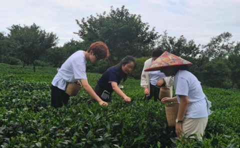 3.访熊猫家园？寻茶祖故里∣2025年两岸大学生研学体验之旅在四川举办543
