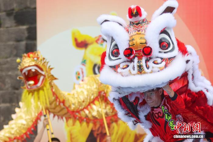 2025年世界华人狮王争霸赛在南京擂响“战鼓”